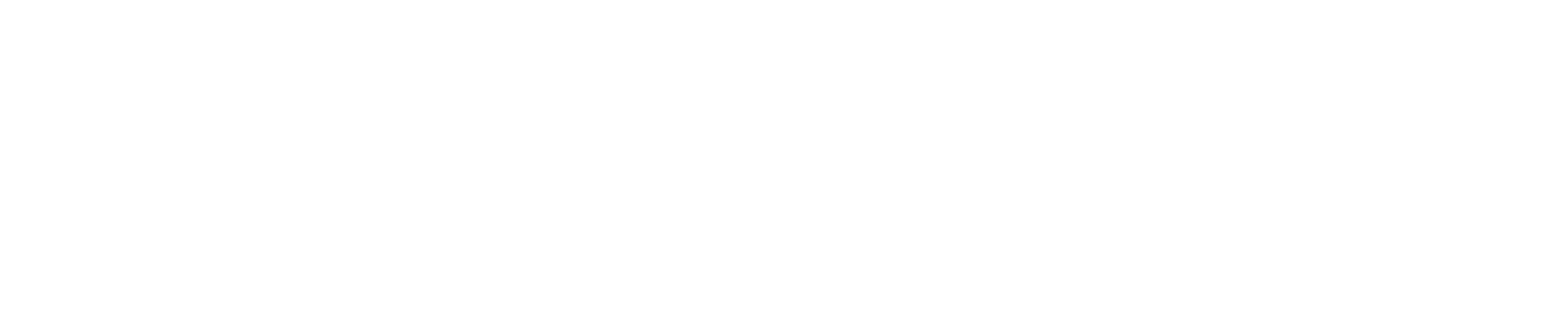 everestips